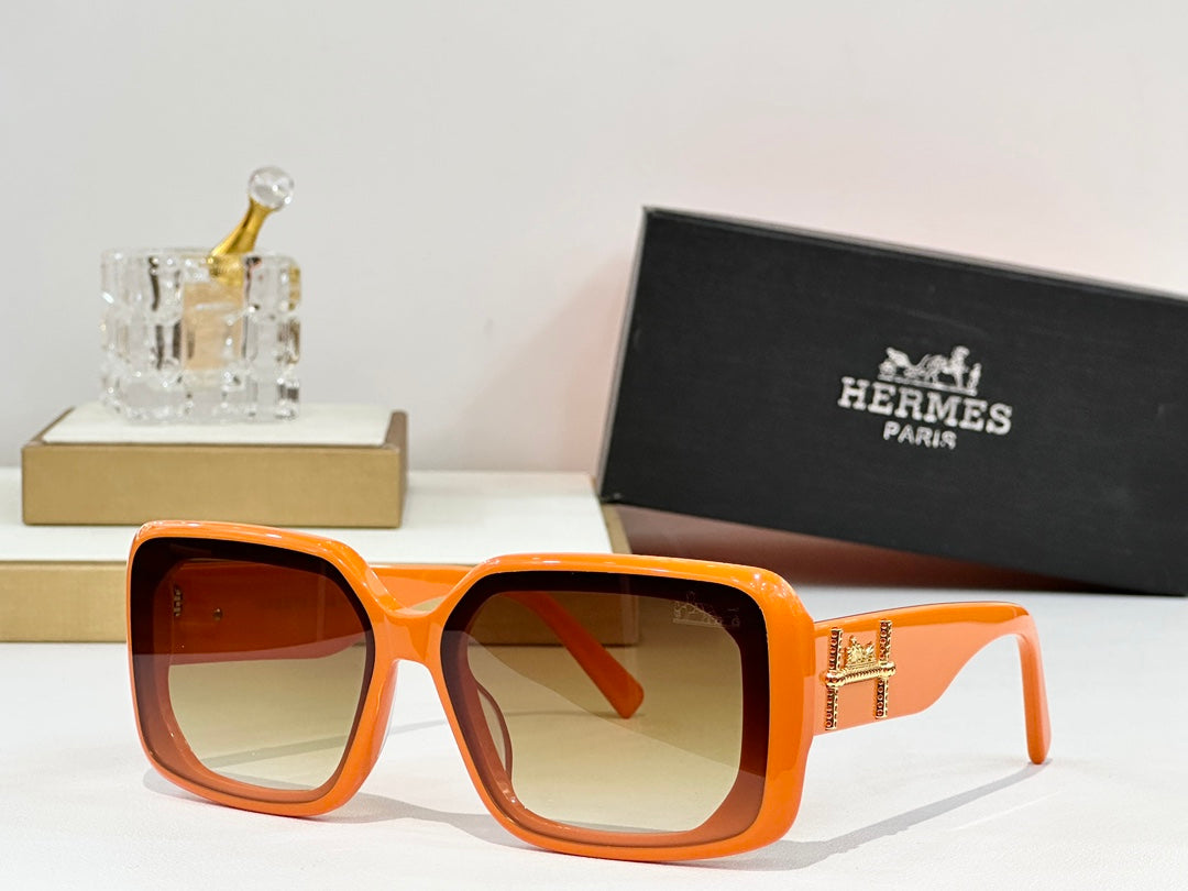 Hermes Sunglasses 686059