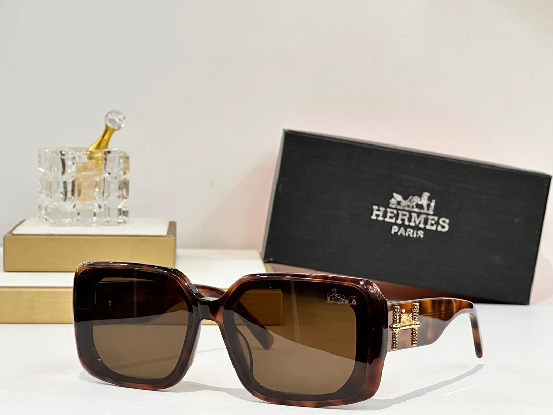 Hermes Sunglasses 686059
